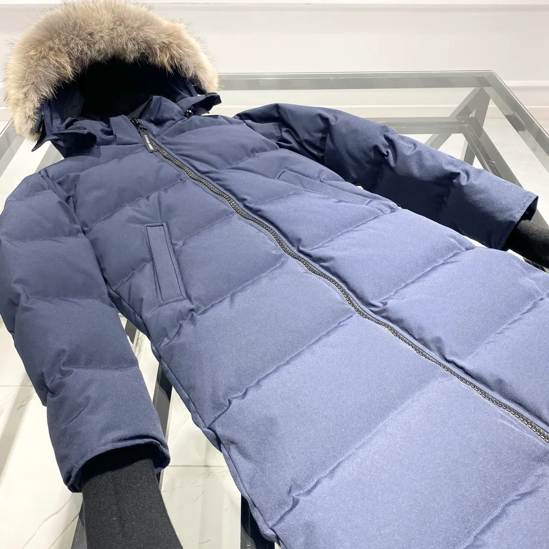 P860 🇨🇦Top original Big Goose 22 parka coats navy blue hanging photo flat display picture book🇨🇦